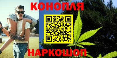 прущие грибы Пыть-Ях