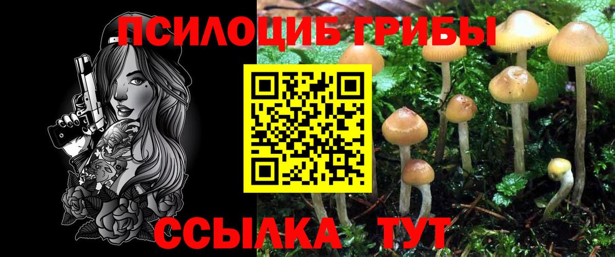 Галлюциногенные грибы прущие грибы  как найти   Мелеуз  Вход с VPN 